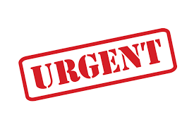 Urgent – Resubmission of 2017 Employer Annual Reconciliation Declaration (EMP 501) and Updated IRP5 Certificates