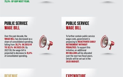 How does the National Treasury’s medium-term budget affect you?