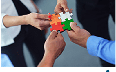 Building a Business: Should You Bring in Funders or Go it Alone?