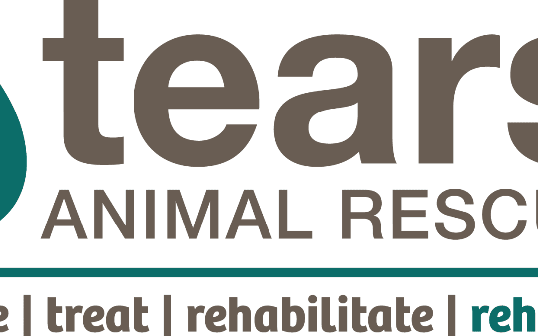 Thank you Keith for your donation to Tears