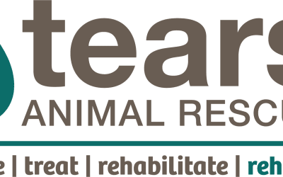 Thank you Keith for your donation to Tears