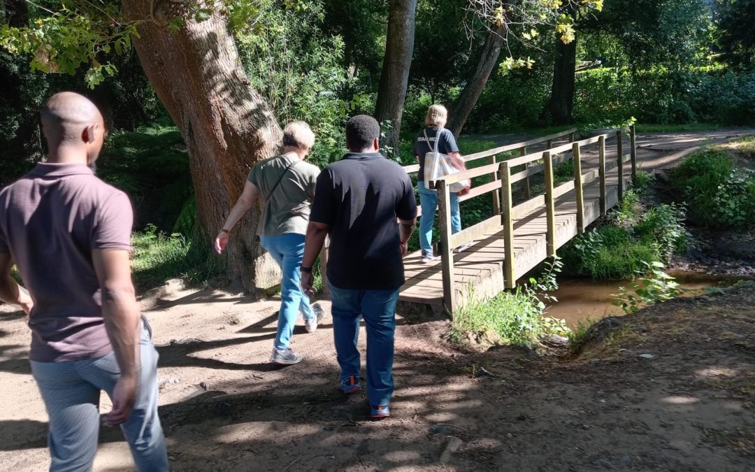 Breakfast Walk on a Beautiful Sunny Day 🌞🌻🌞