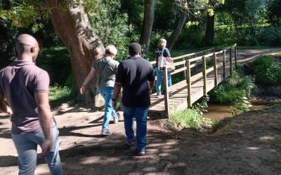 Breakfast Walk on a Beautiful Sunny Day 🌞🌻🌞