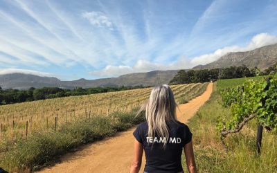 Beautiful morning walk at Groot Constantia